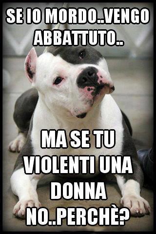 NUN FA 'NA PIEGA !! - 06/10/2012